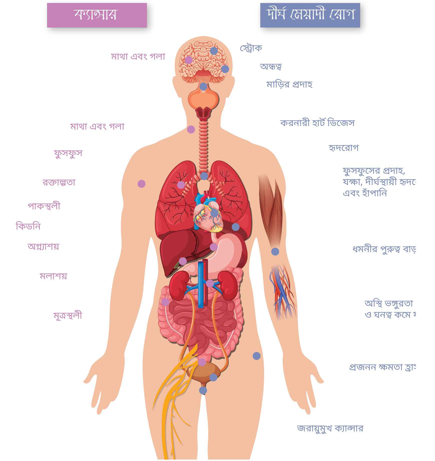 তামাক গ্রহণে আপনার শরীরের ক্ষতি
